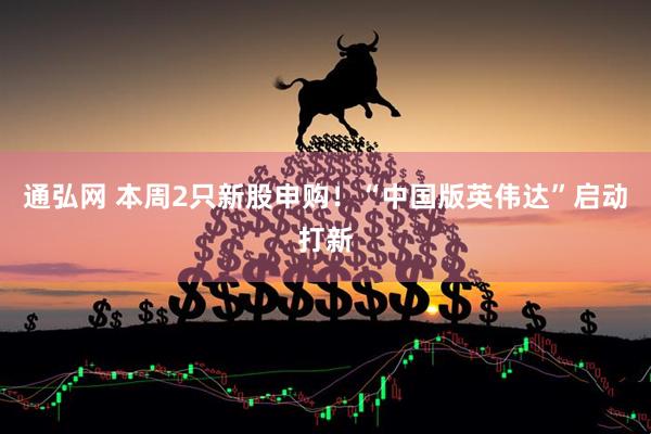 通弘网 本周2只新股申购！“中国版英伟达”启动打新