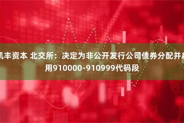 凯丰资本 北交所：决定为非公开发行公司债券分配并启用910000-910999代码段